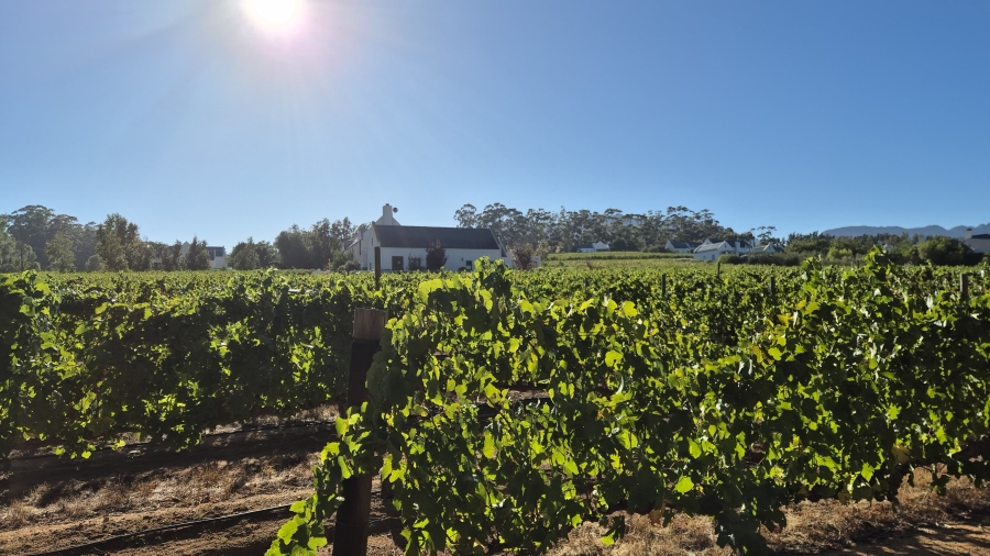 4 Bedroom Property for Sale in Diemersfontein Wine and Country Estate Western Cape